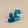 Baby Blue Metal Valve Cap group